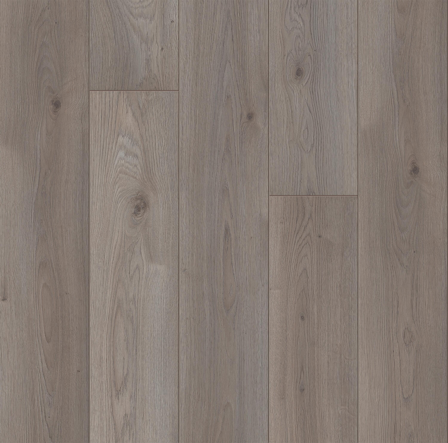 Giant 1233 4V Oak Light Beige