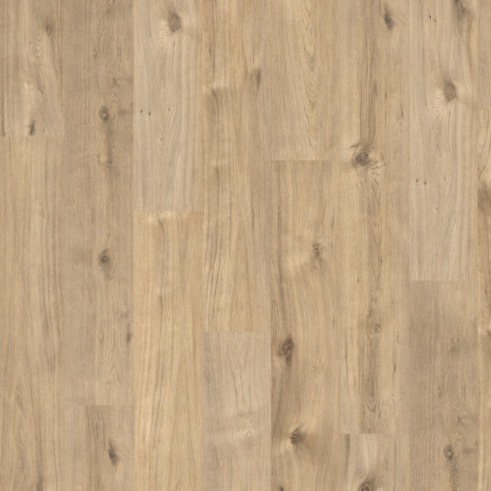 Journey 731 4V Old Mountain