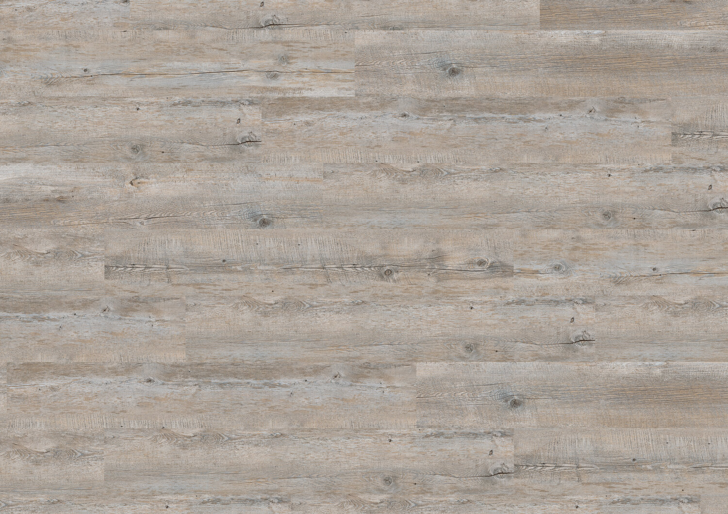 PORTOBELLO C70 MEGACLIC