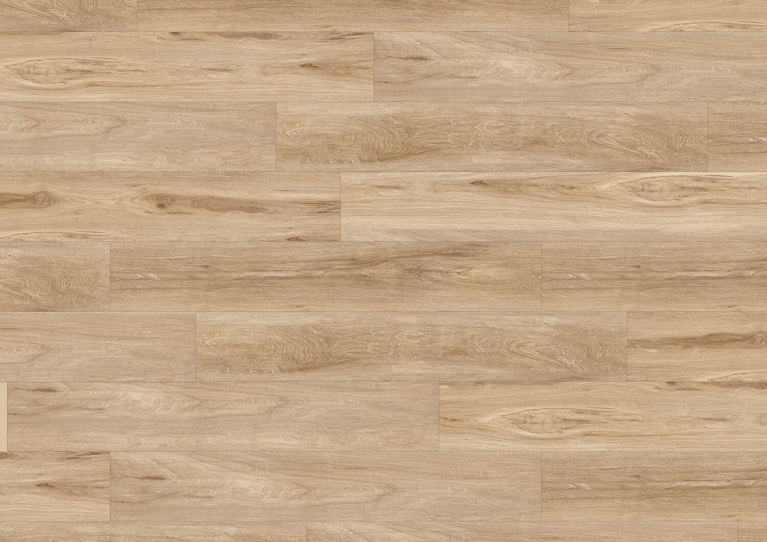 ALBION BEIGE C70 MEGACLIC