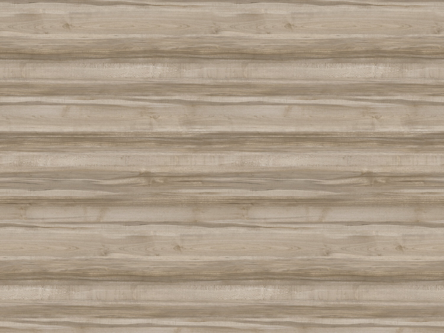 SYCAMORE LIGHT BROWN